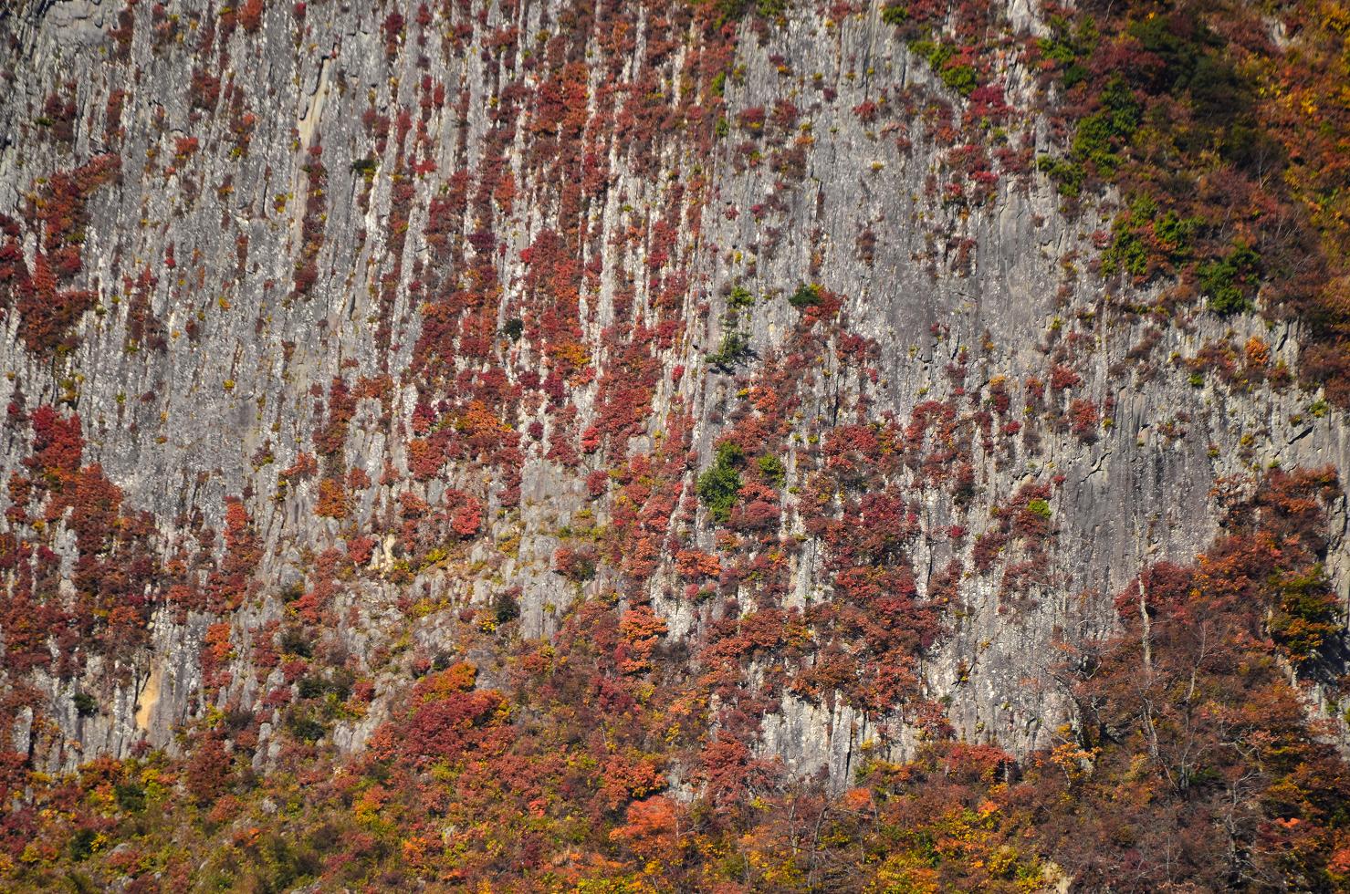 黒伏山　岩壁