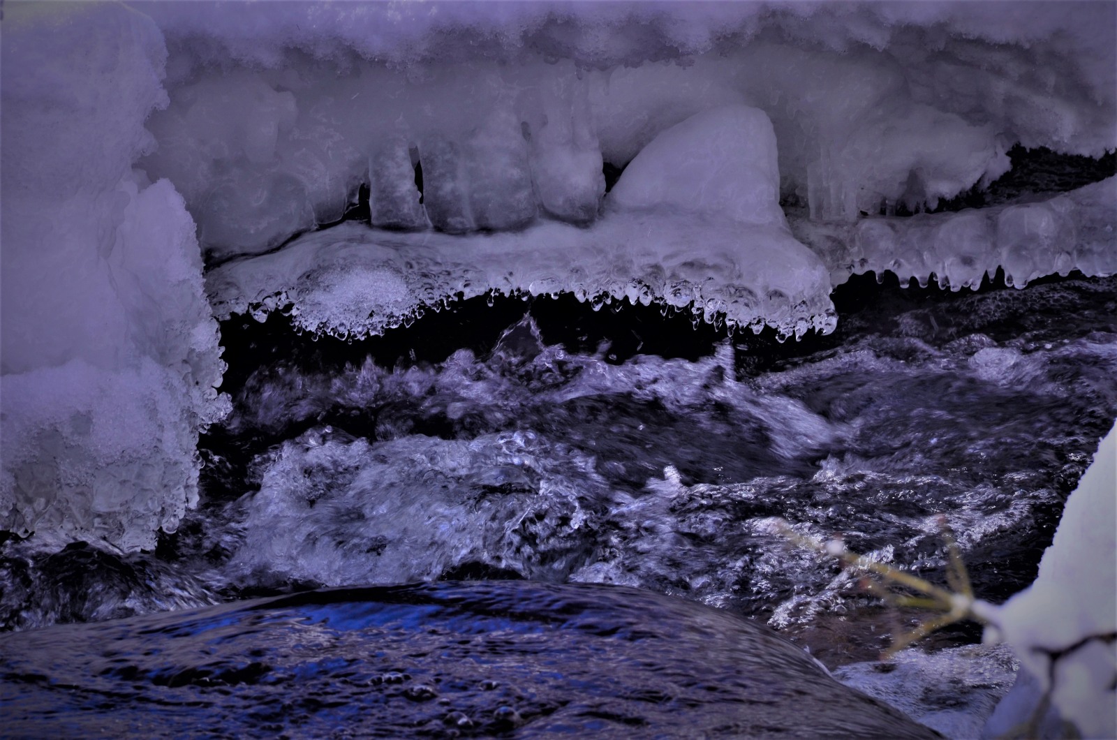 川面の氷柱1