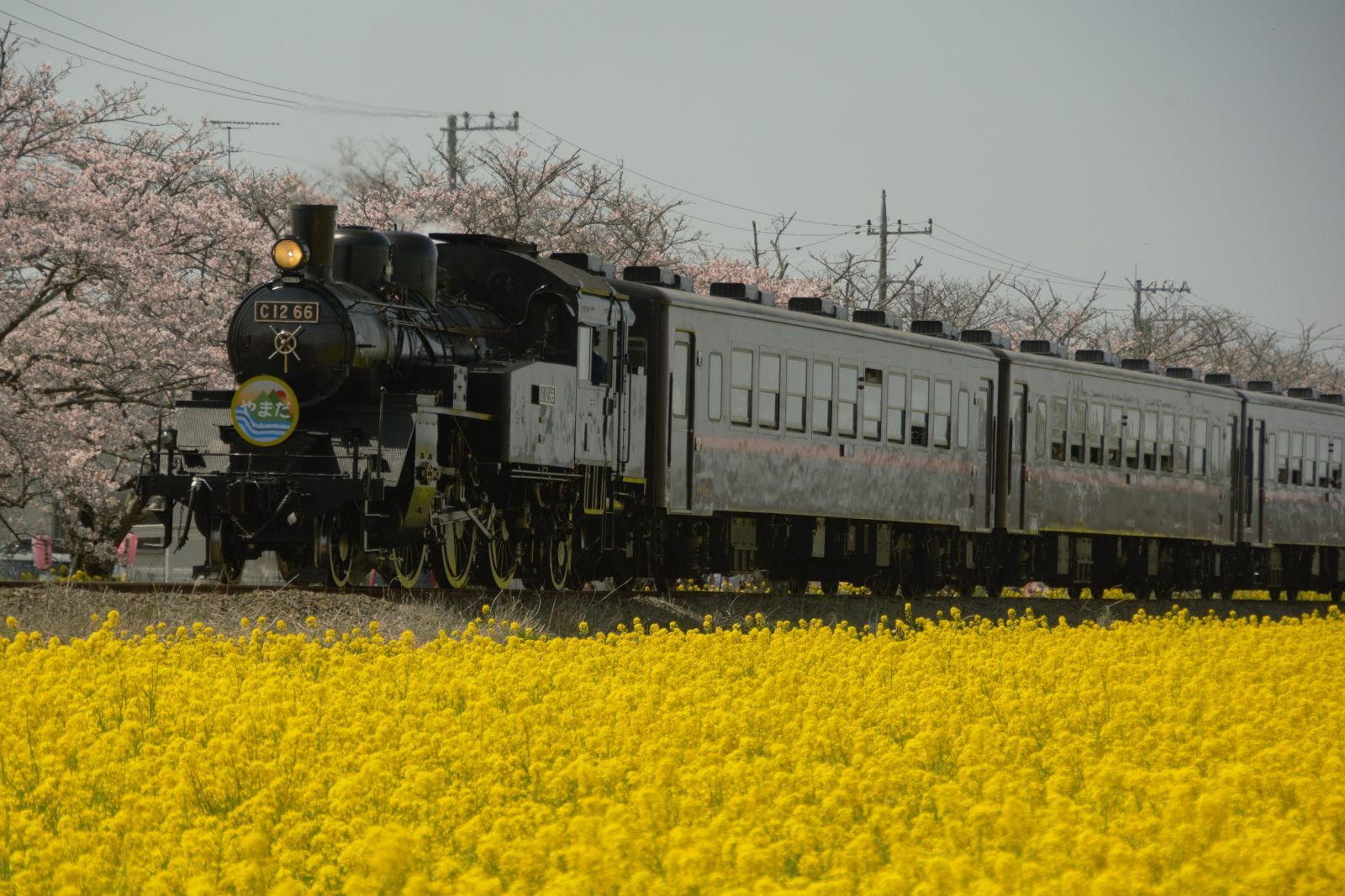 18真岡鉄道　機関車